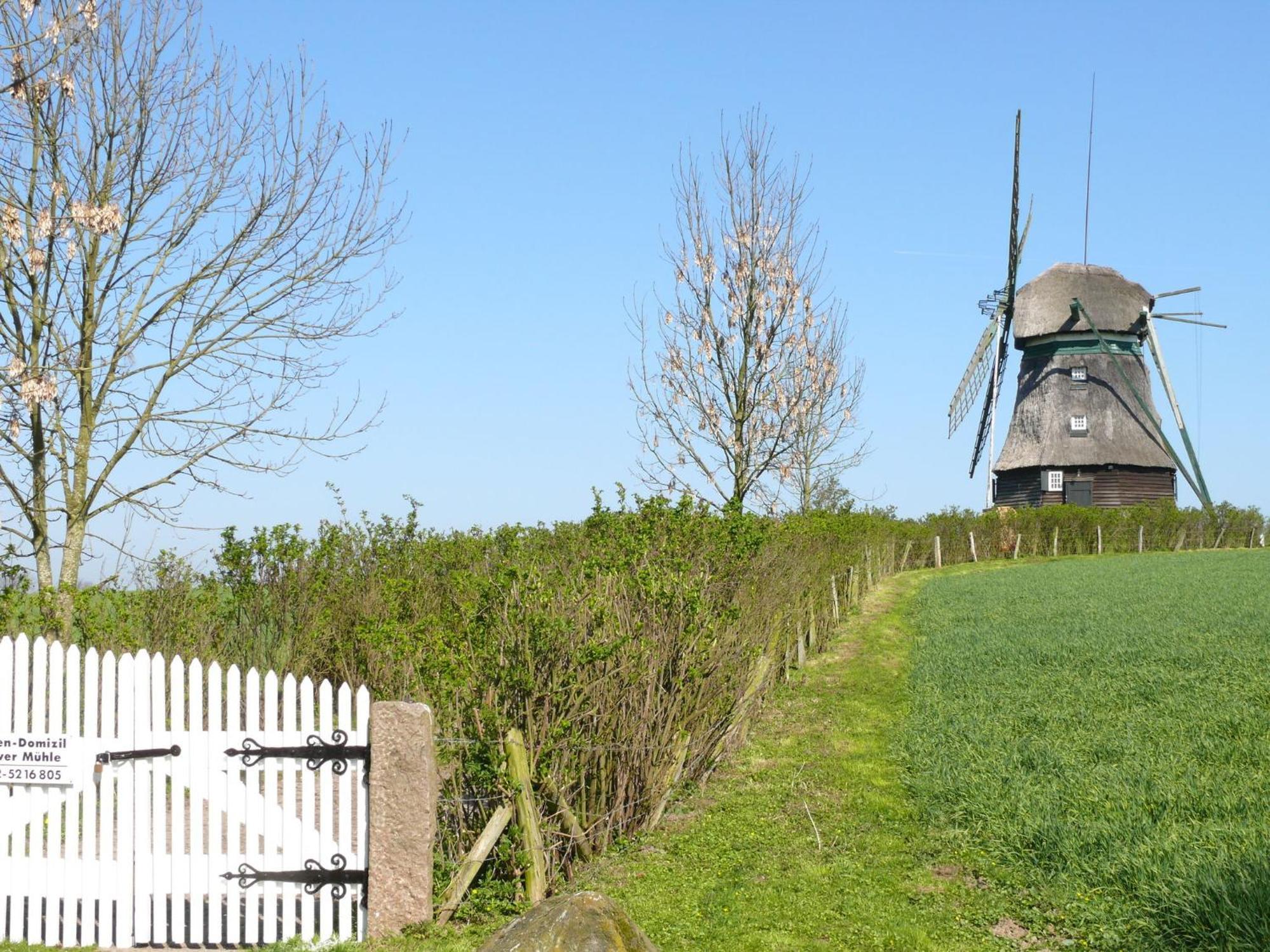 Beautiful Authentic Mill Close To The Beach Wangels エクステリア 写真